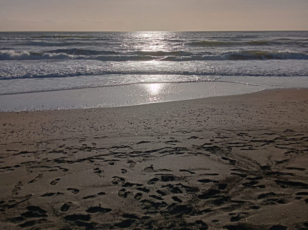 Spiaggia libera Bianca-Lido di Ostia必去景点