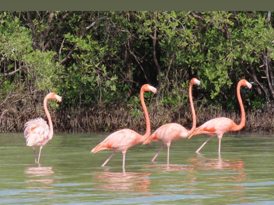 Guía de Naturaleza Uriel Massa景点图片