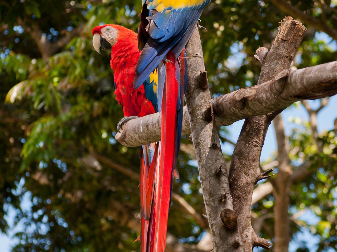My Time Butterfly Garden-Miramar必去景点