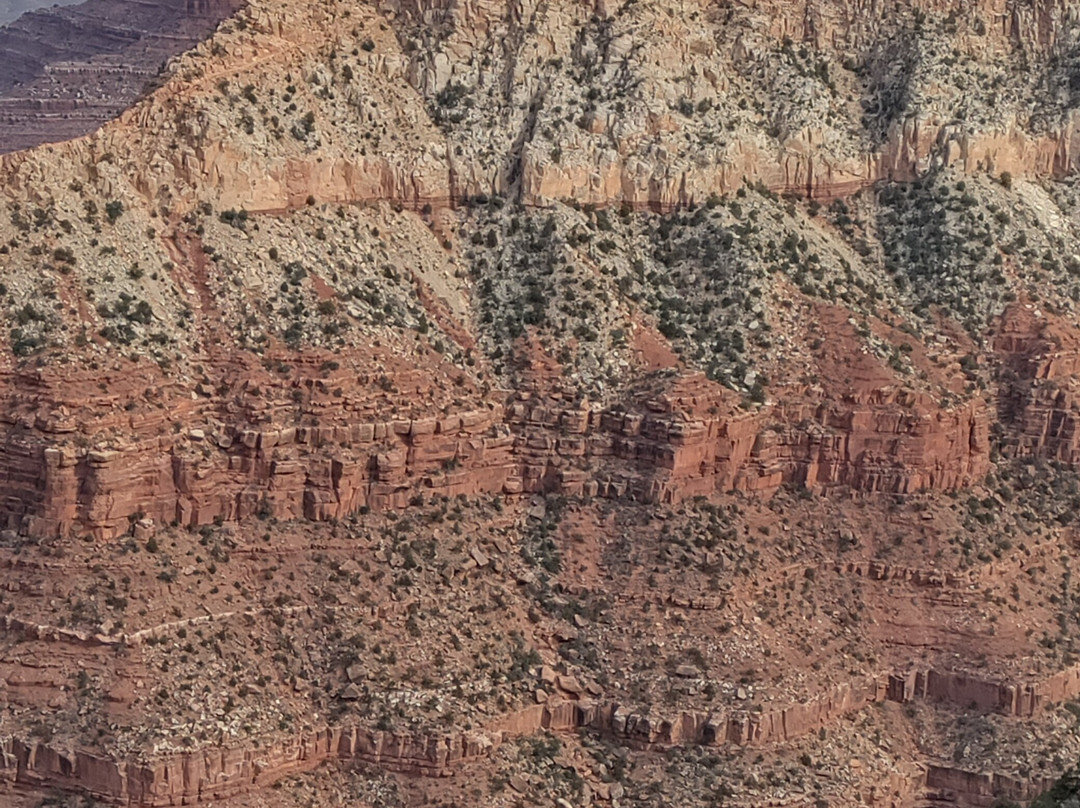 美国国家地理杂志大峡谷游客中心-图萨扬必去景点