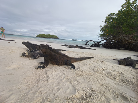 Authentic Ecuador-基多必去景点