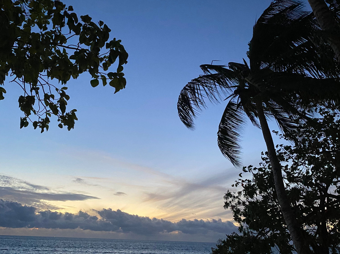 斐济托阔里奇岛喜来登水疗度假酒店主图