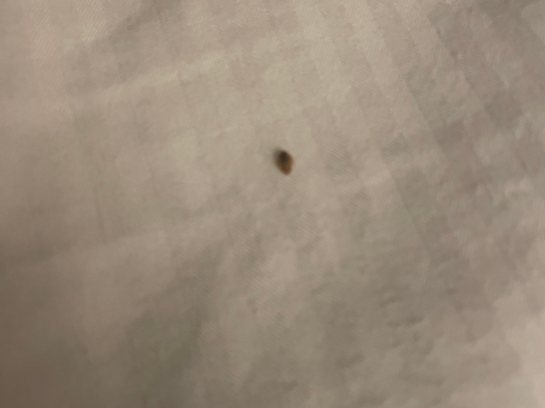 亚特兰大东北诺斯莱克希尔顿逸林酒店主图