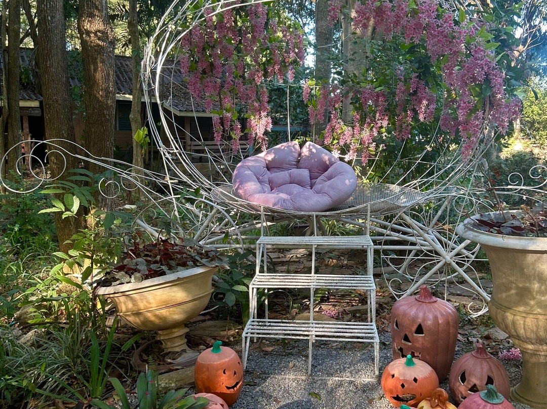 Secret Art Garden景点图片
