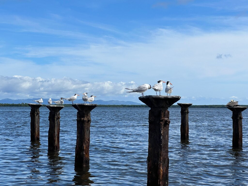 Gregory Tours Samana-Santa Barbara de Samana必去景点