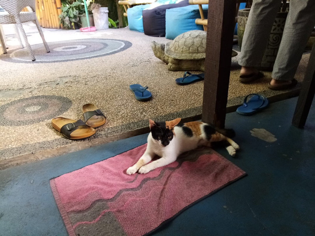 Bamboo Paradise Guesthouse & Hostel主图