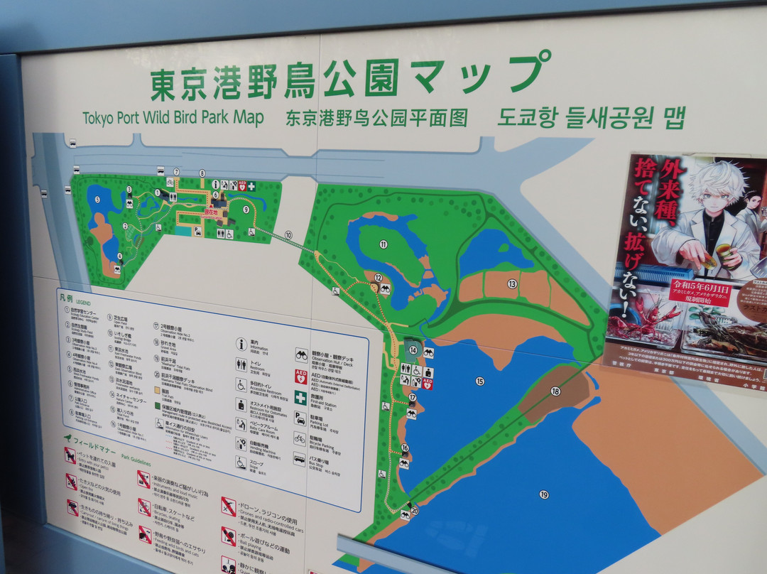 Tokyo Port Wildbird Park景点图片