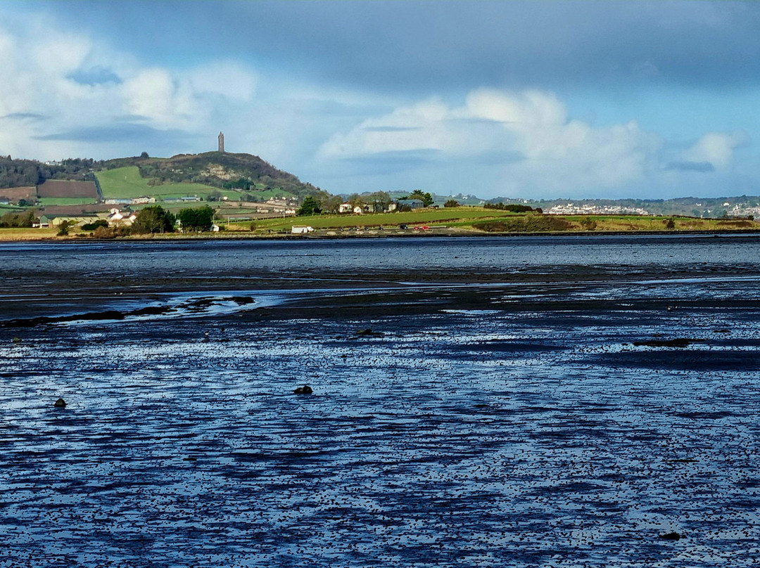 WWT Castle Espie Wetland Centre景点图片