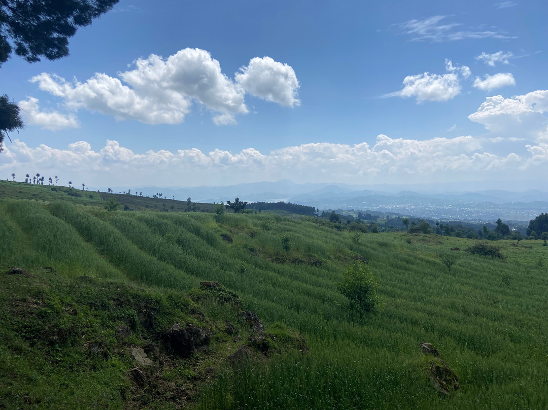 Gorilla Highlands-卡巴莱必去景点