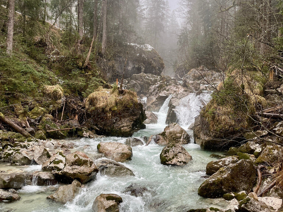Zauberwald am Hintersee-拉姆绍必去景点