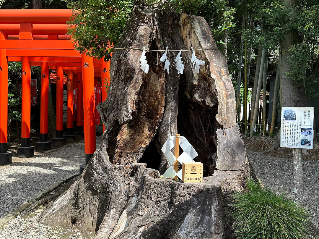 Tokiwa Shrine-水户市必去景点