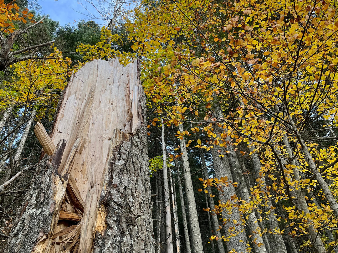 Caeli Travel | Montenegro Private Tours-布德瓦必去景点