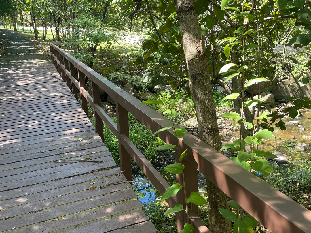 瓜纳卡斯特 JW 万豪度假酒店及水疗中心主图