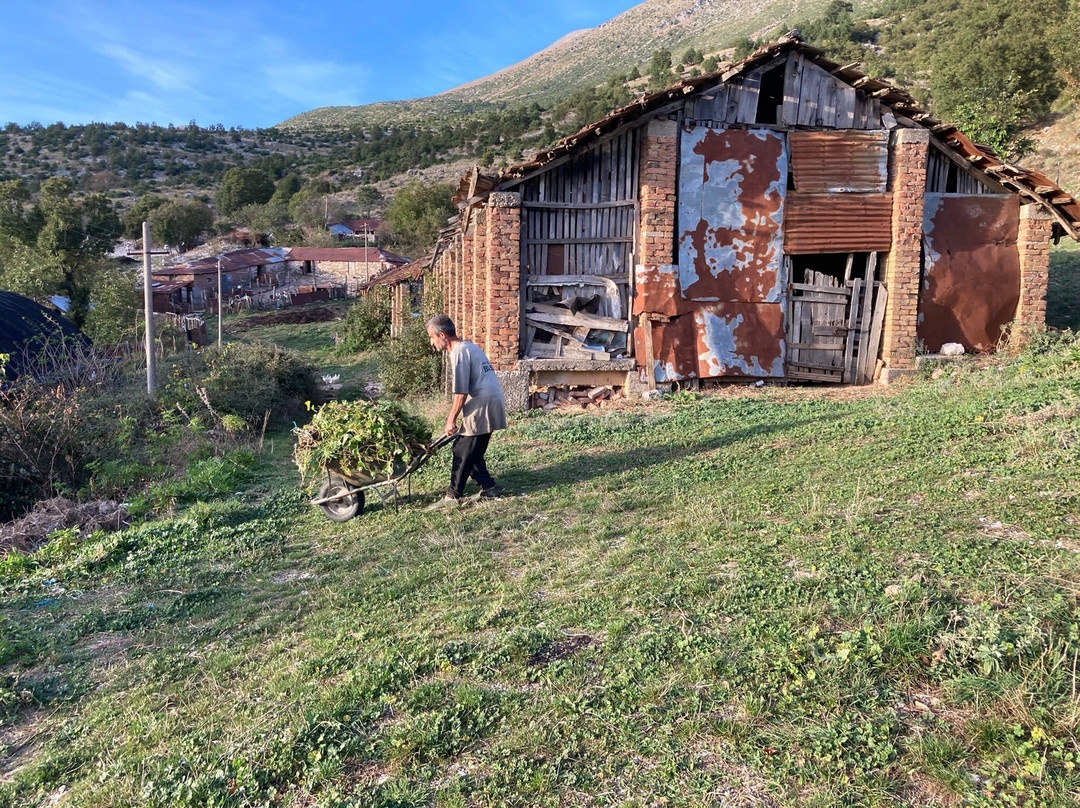 Caravan Horse Riding Albania景点图片