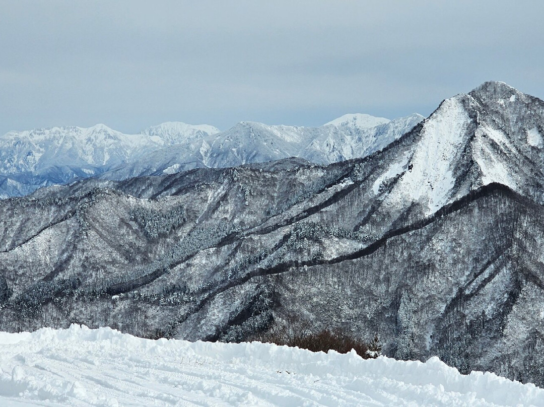 Yuzawa Kogen景点图片