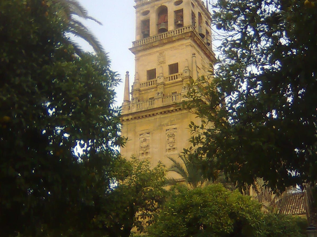 Patio de los Naranjos景点图片