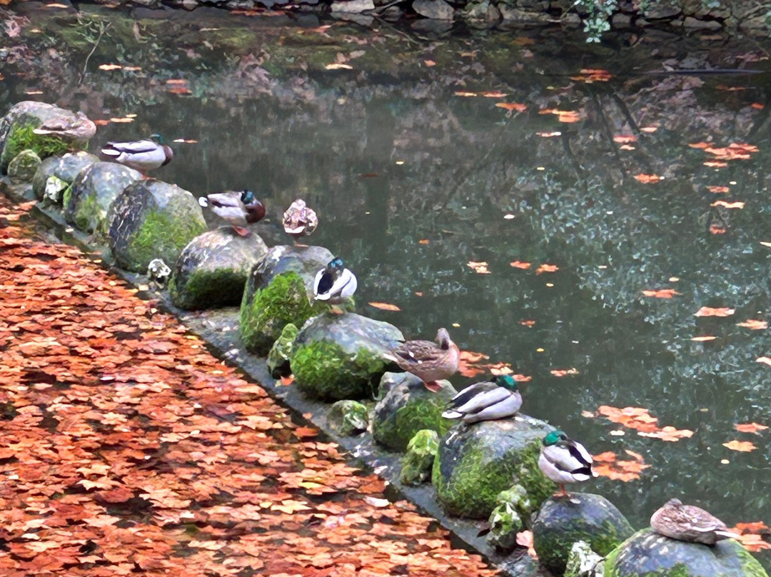 Ancient Duck Houses at Park of Pena景点图片