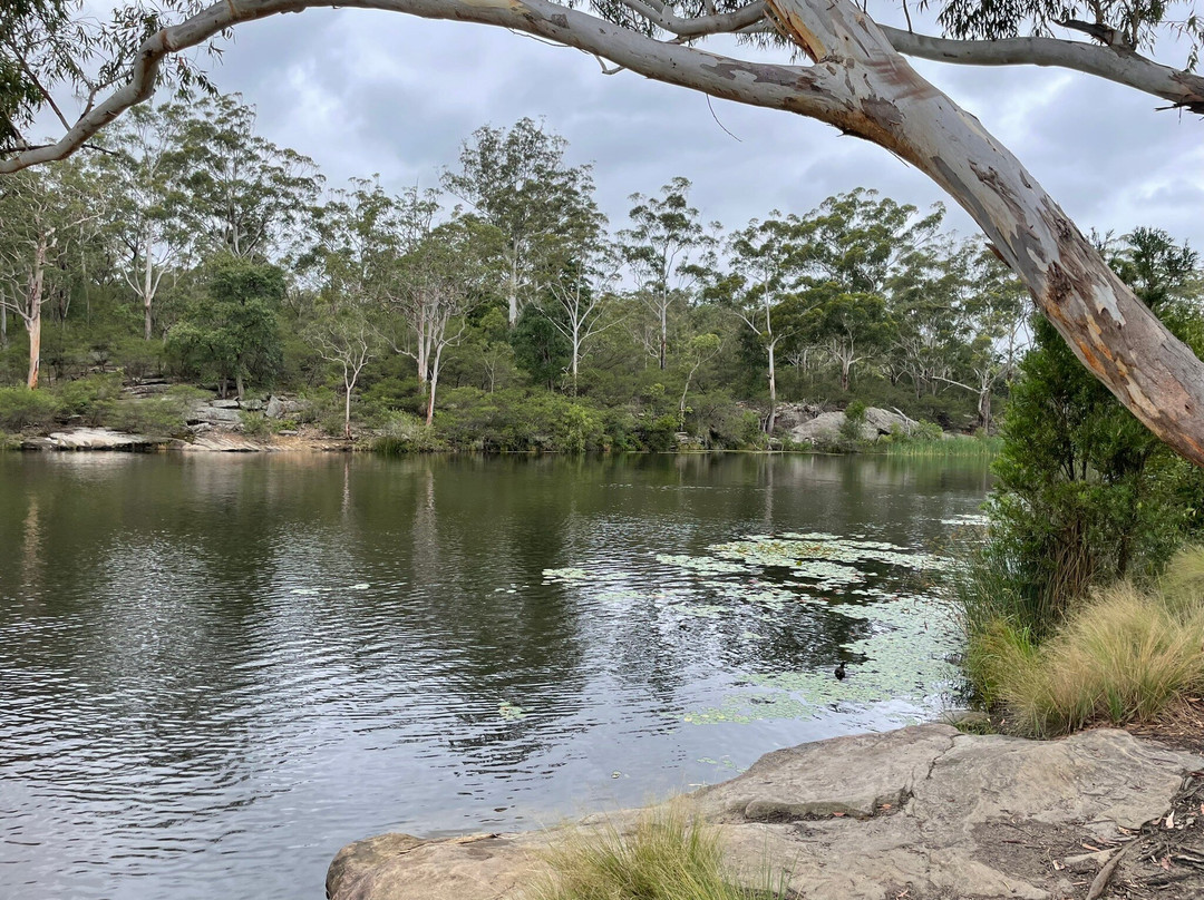 Lake Parramatta Reserve景点图片
