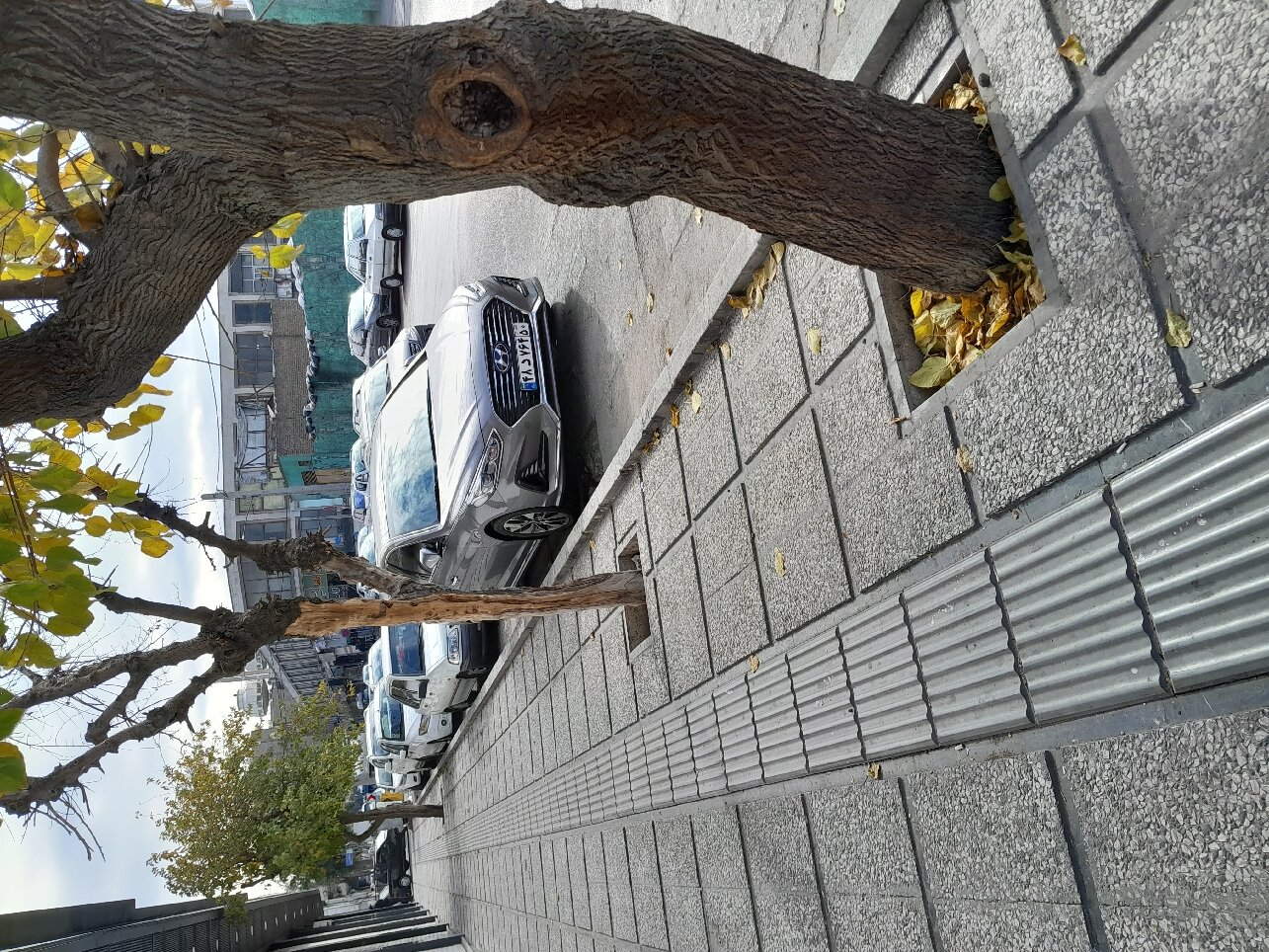 The StarLux Hotel & Suites-官方