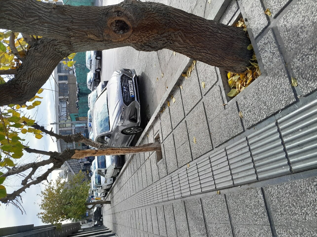 The StarLux Hotel & Suites主图