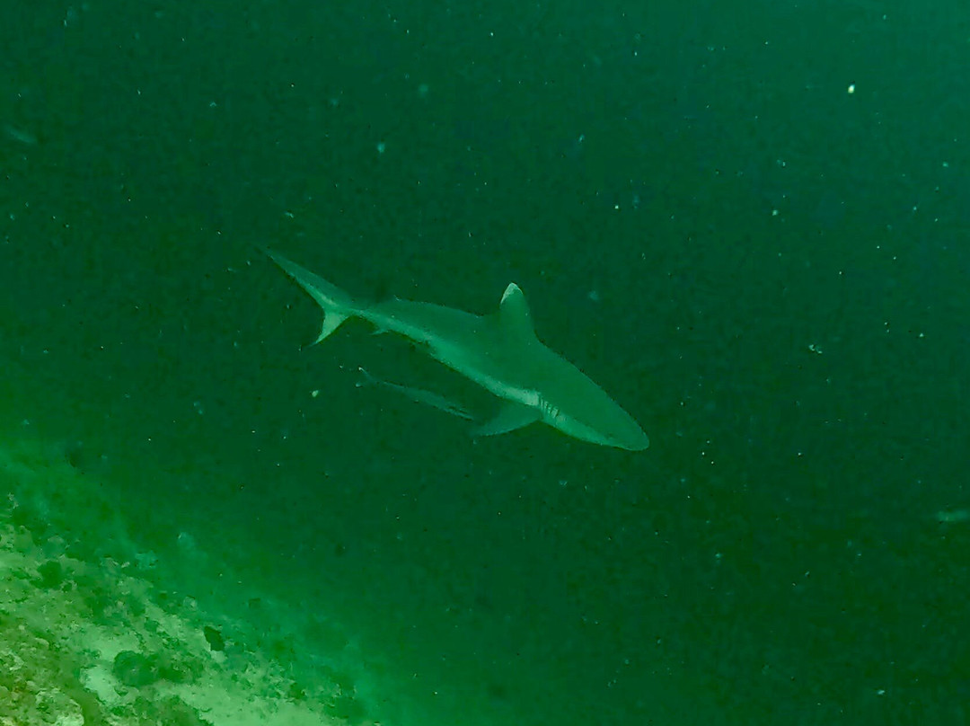 Sous l'Ocean-马尔代夫必去景点