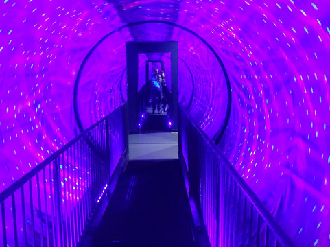 Museum of Illusions Houston-休斯顿必去景点