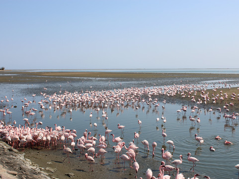 Safari World Tours-温德和克必去景点