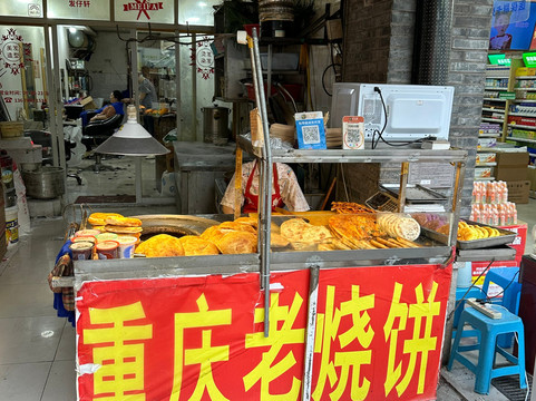 Chongqing Tours-重庆市必去景点