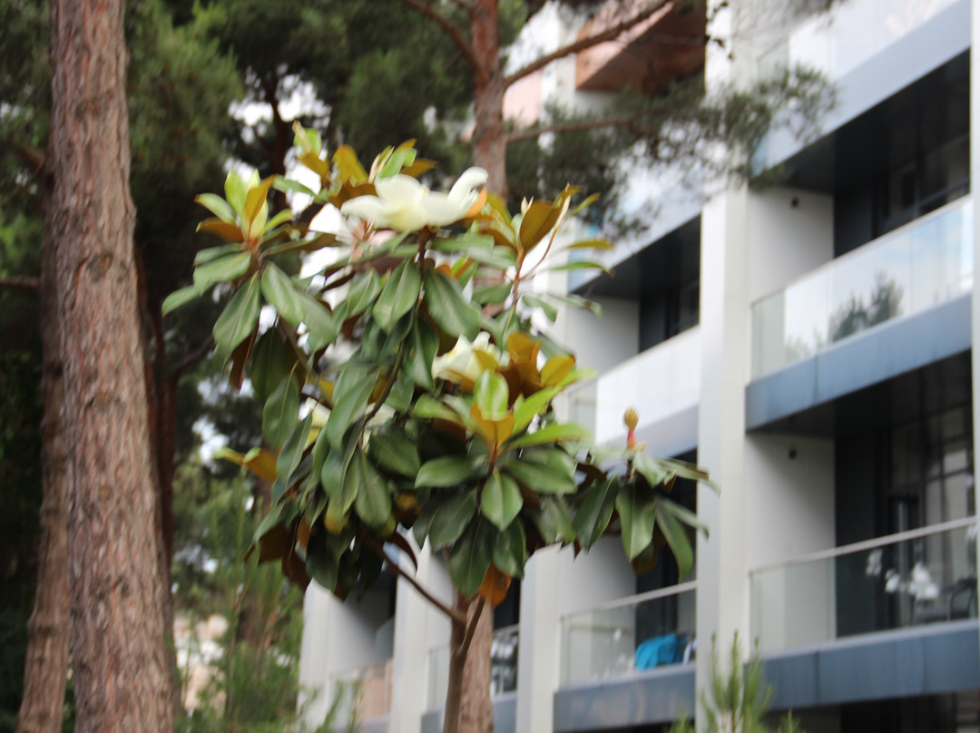 AZIMUT Park Hotel Kaspiysk主图