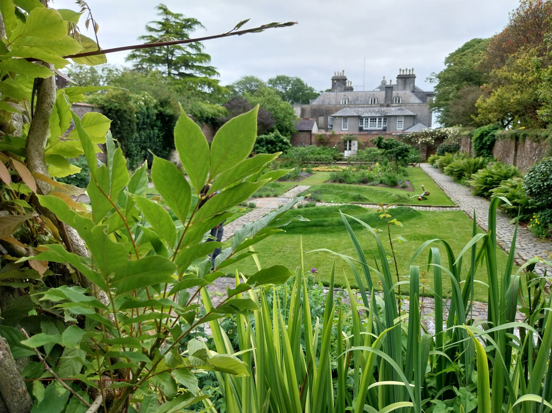 Trewithen Gardens-Grampound必去景点
