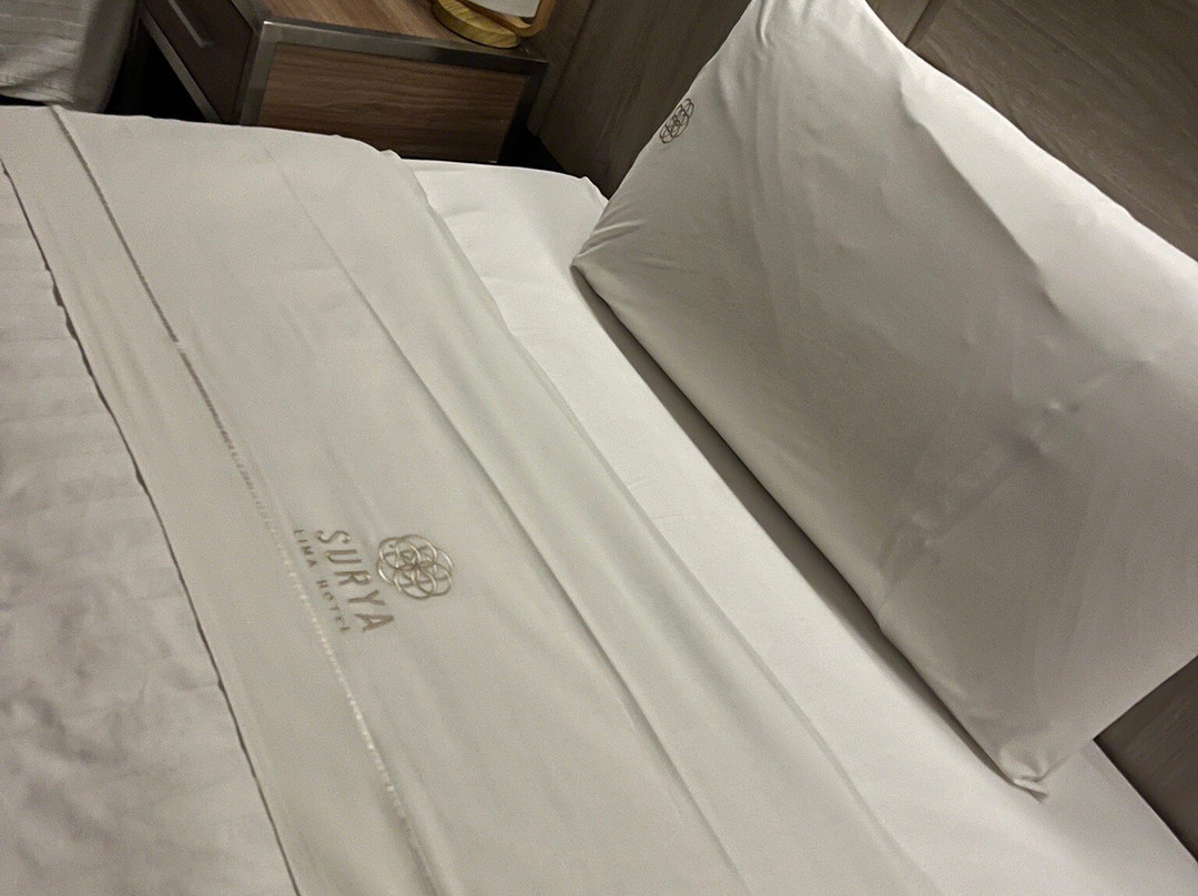 Surya Lima Hotel主图