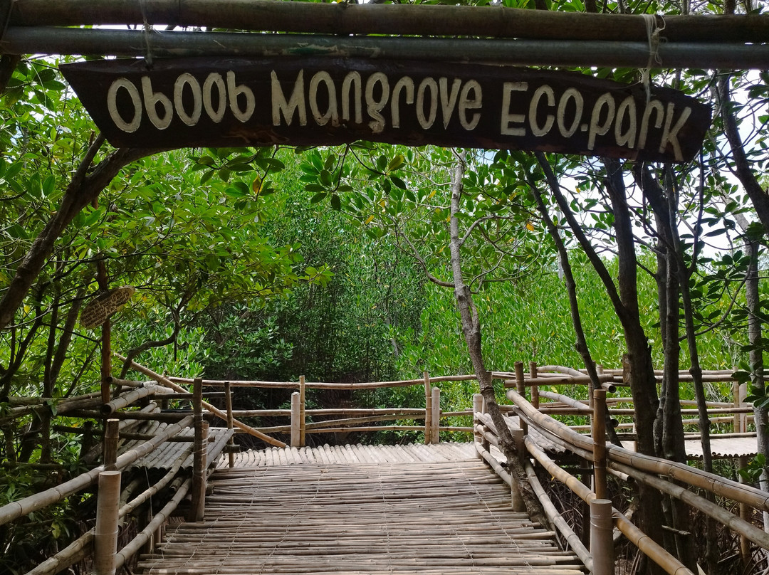 Omagieca Mangrove Garden-班塔延岛必去景点