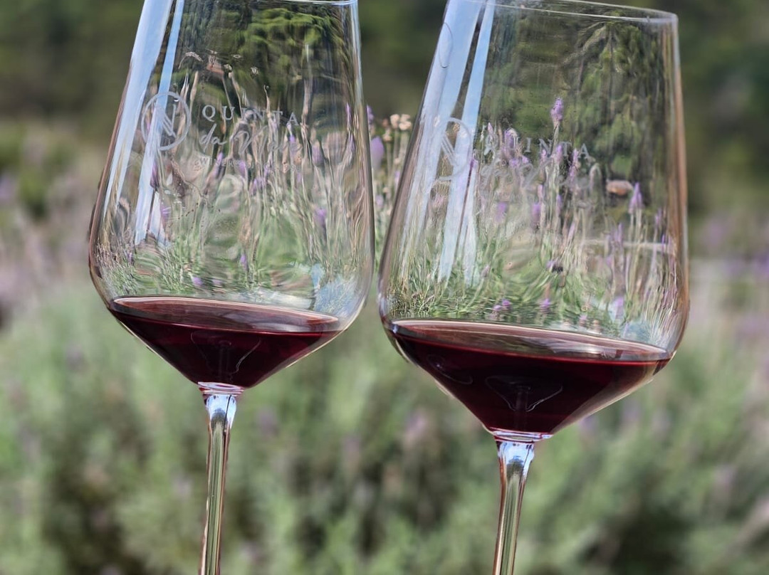 Vinicola Quinta Da Neve景点图片