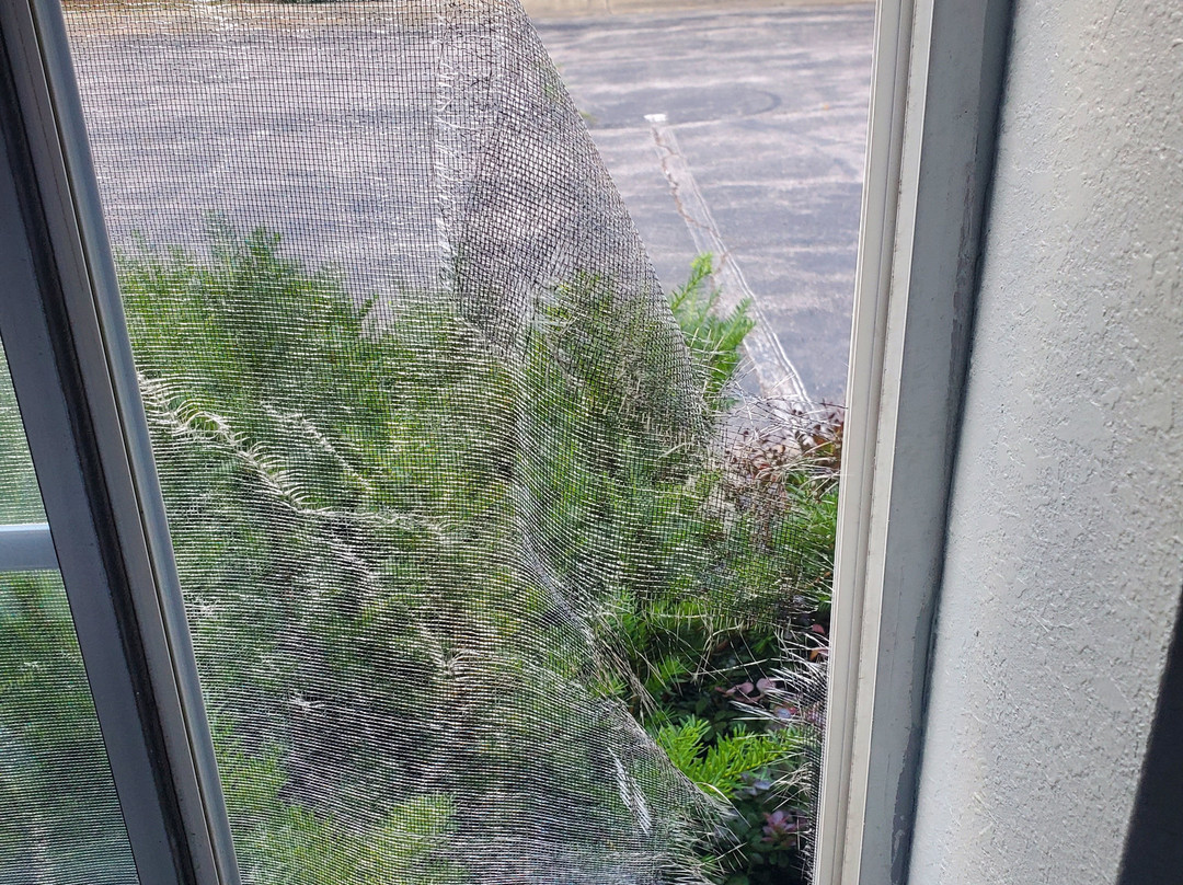 Wingate by Wyndham Mentor OH主图