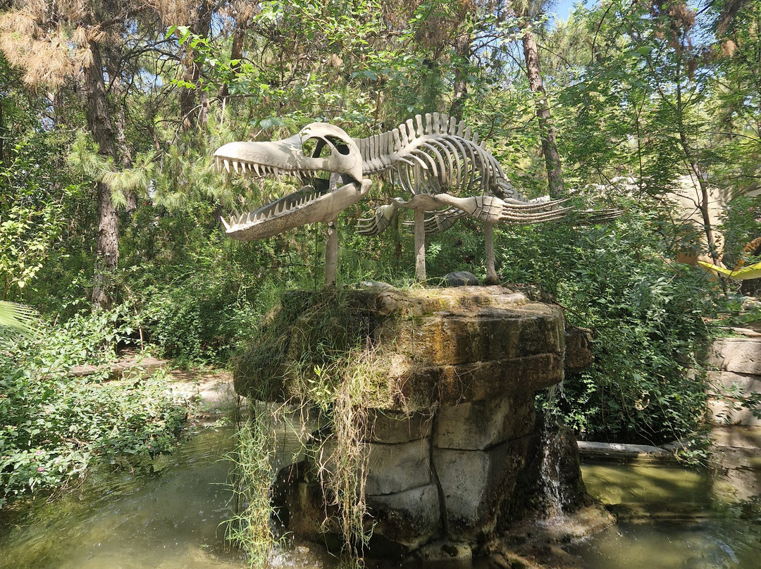 Dinopark-Goynuk必去景点