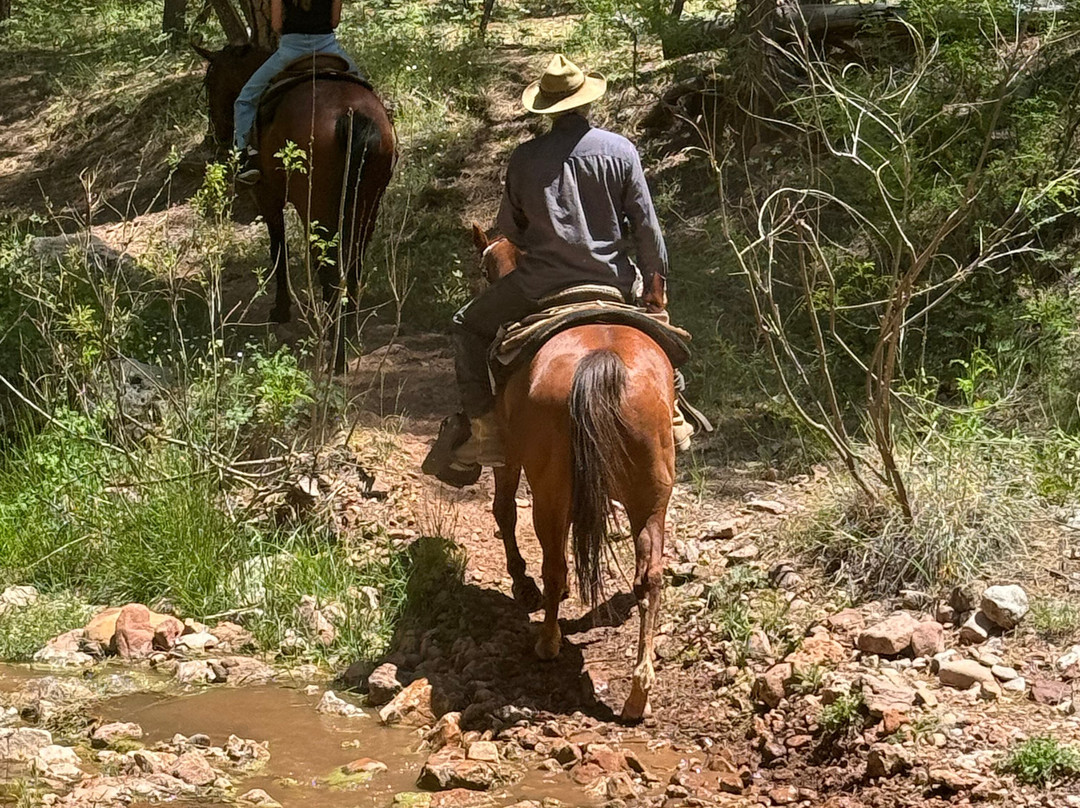 Kohl's Ranch Stables-Payson必去景点