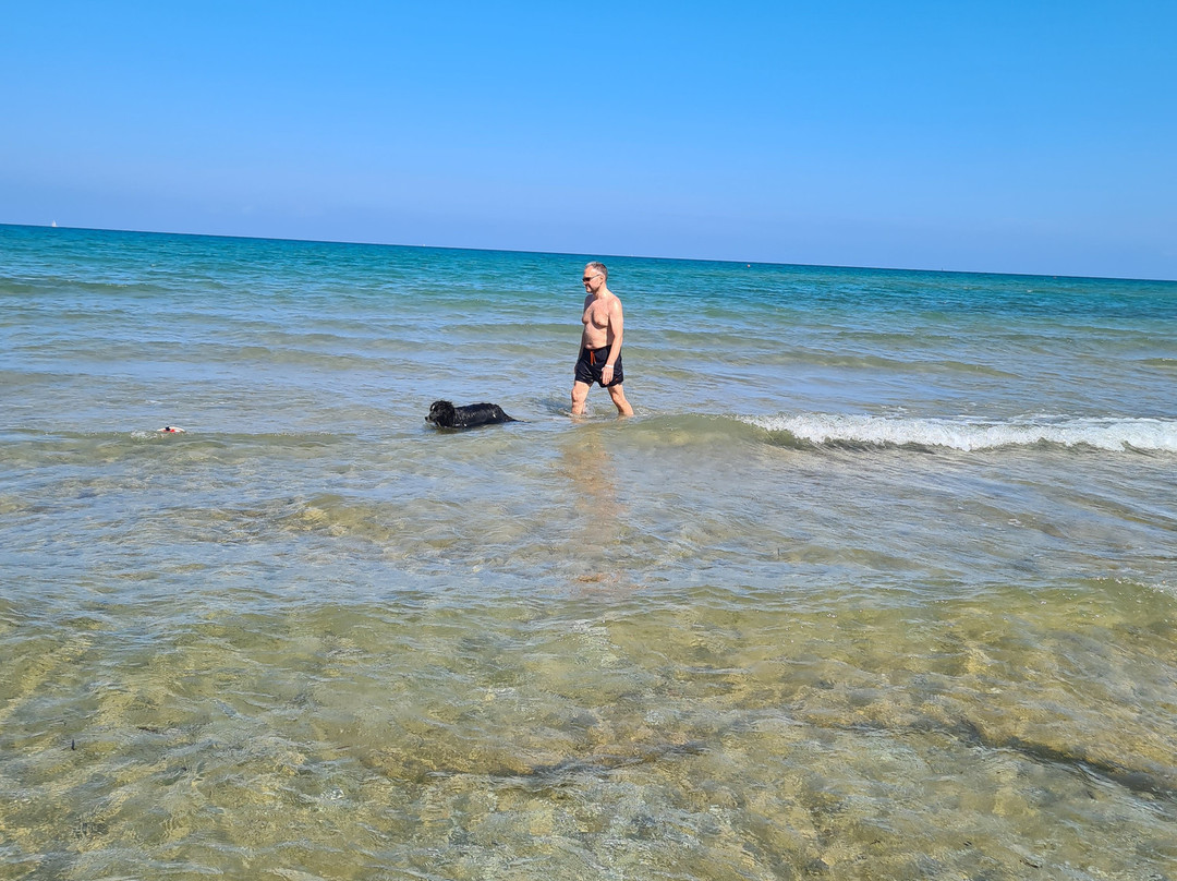 Dog Beach San Vincenzo景点图片