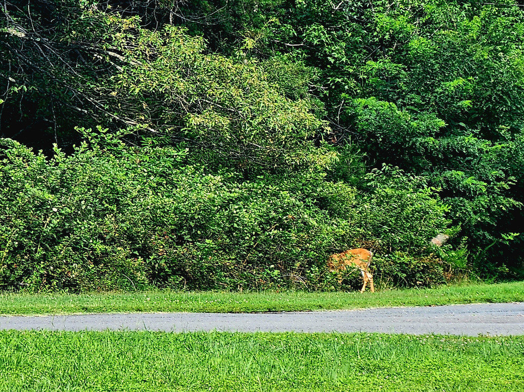 Widewater State Park-Stafford必去景点