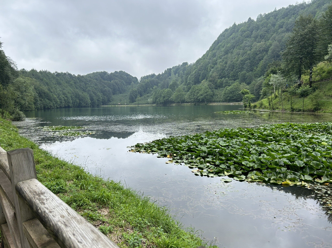 Ulugol Tabiat Parki景点图片
