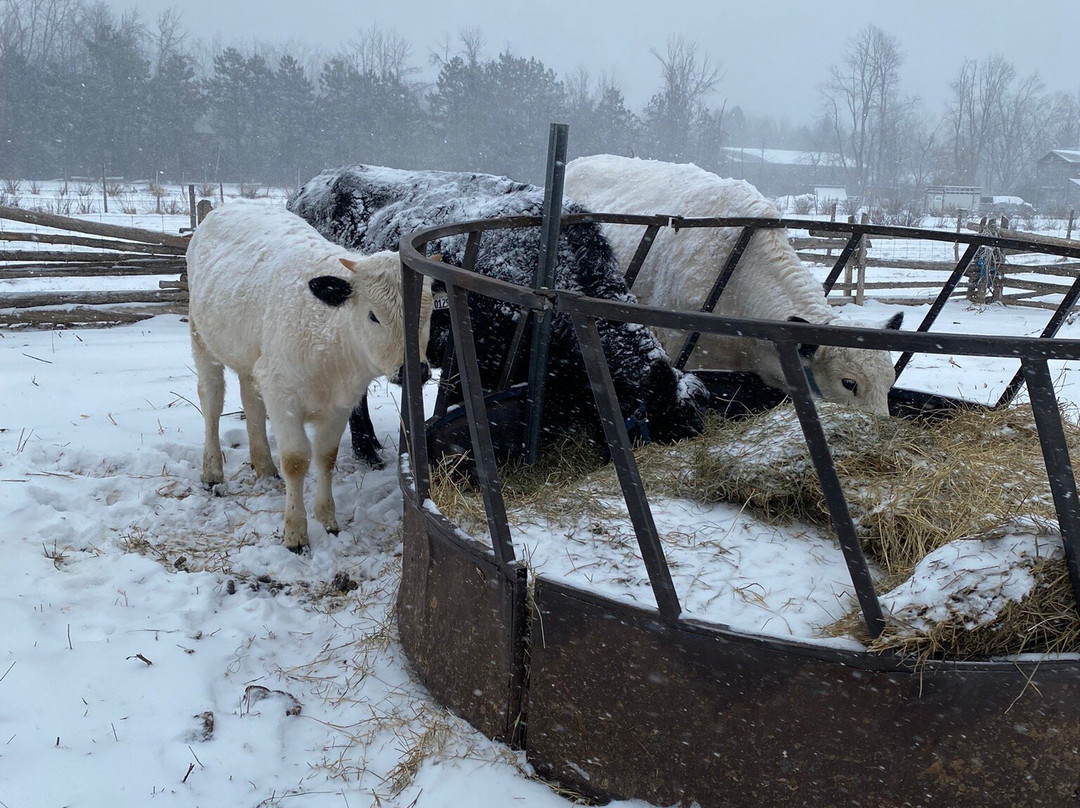 Quinn Farm-Notre-Dame-de-l'Ile-Perrot必去景点