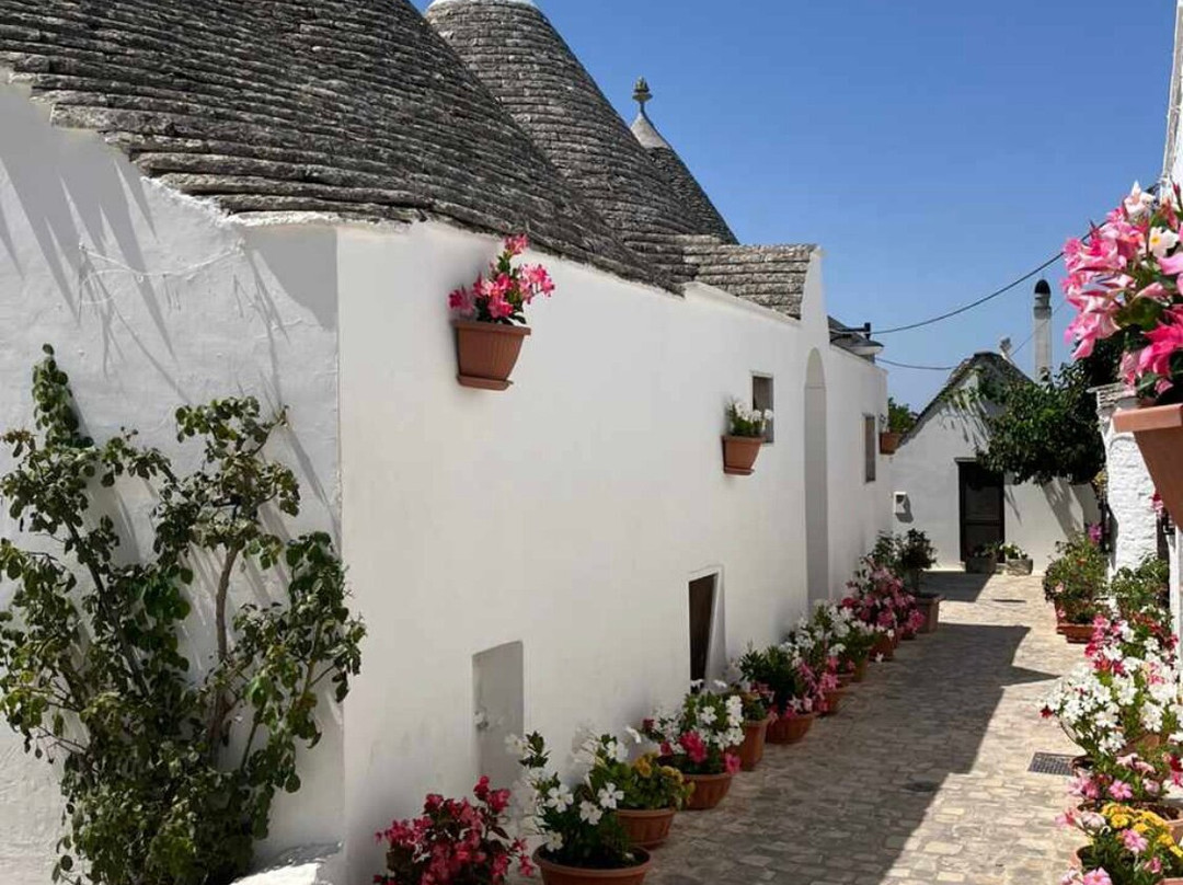 Salento Experience - Transfer service-莱切必去景点