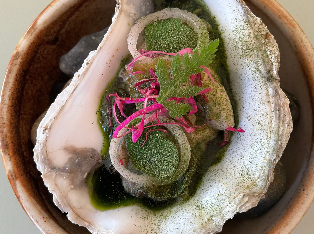 布罗斯特餐馆和美食-V-hav