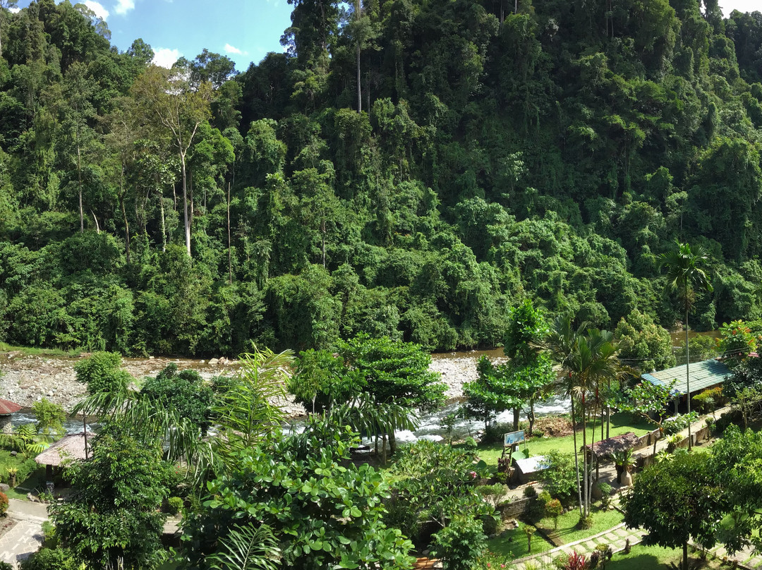 Garden Inn and Restaurant主图