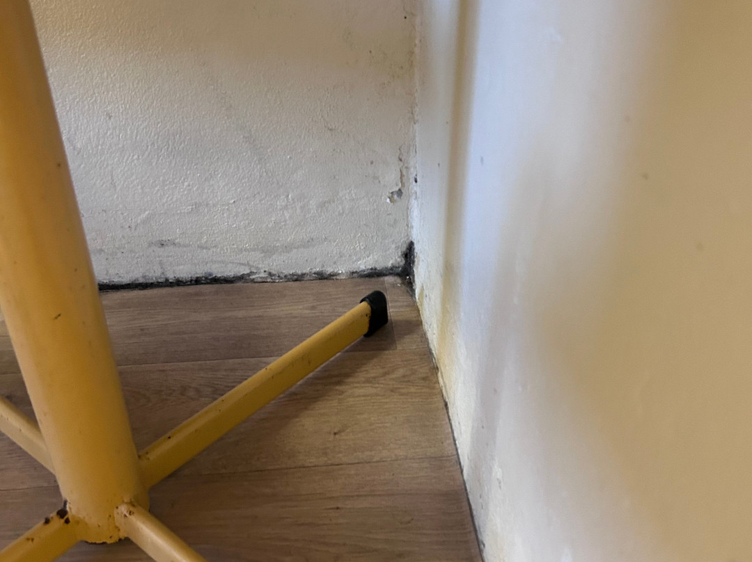 海岸驱车汽车旅馆主图