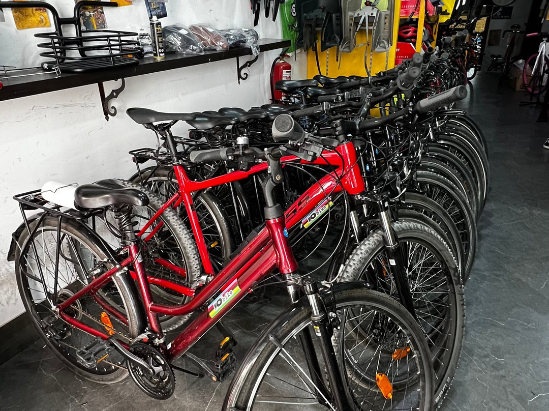 MO'bike景点图片