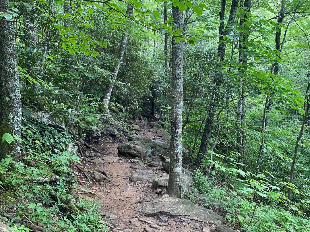 Skinny Dip Falls-Canton必去景点