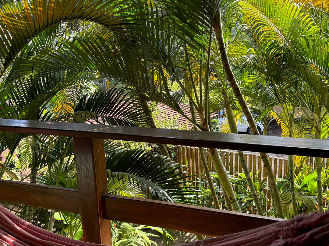 Pousada Vila dos Passaros主图