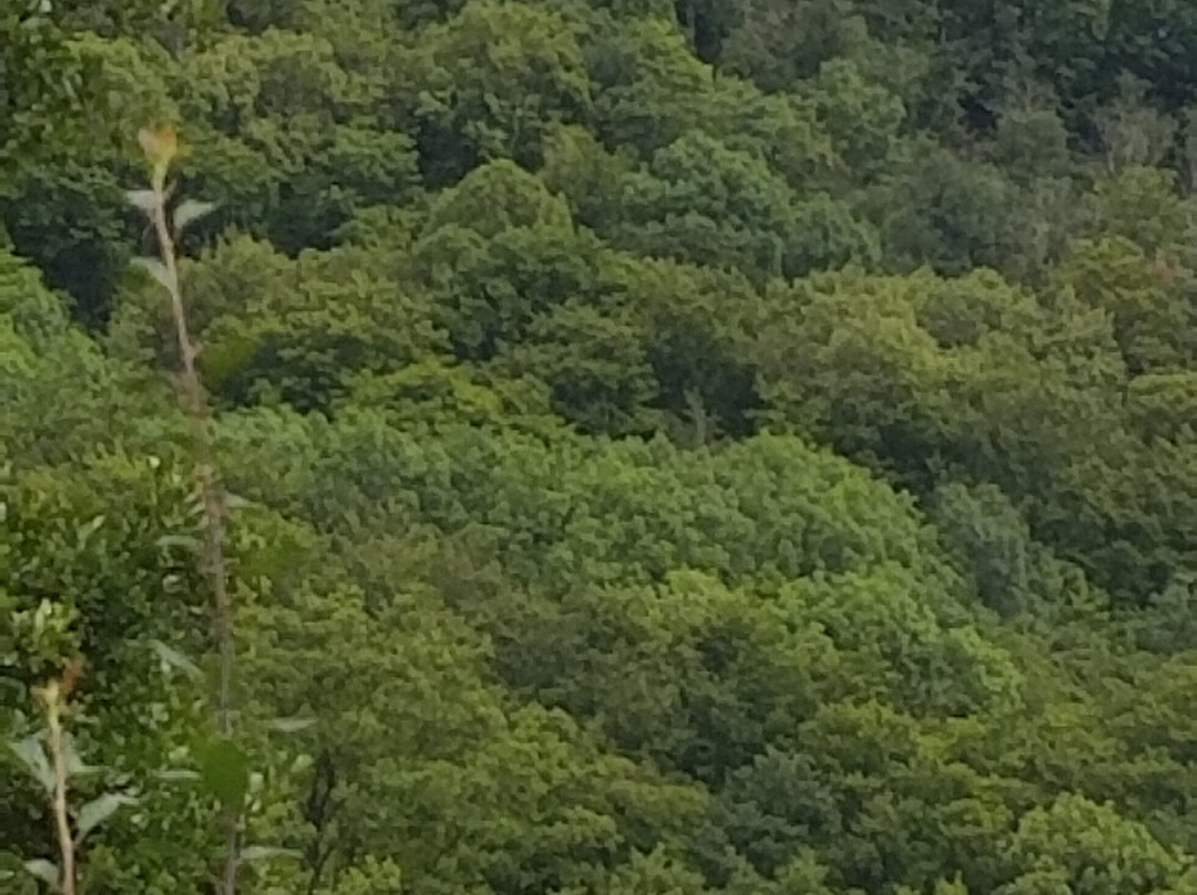 Milsenburgradweg-Petersberg必去景点