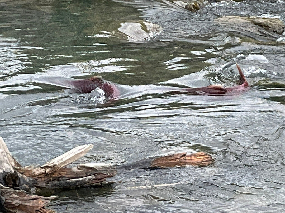 Hoben Park-苏厄德必去景点