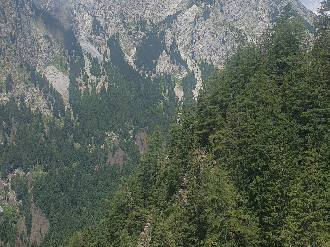 Alpin Bob Meran 2000-Avelengo必去景点